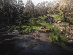 Secluded Off-Grid Cabin Tuckedthe Bush - Anant