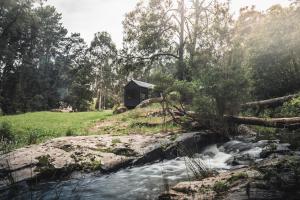 Secluded Off-Grid Cabin Tuckedthe Bush - Anant