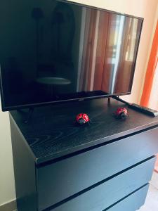 Home Cuore di Napoli 5