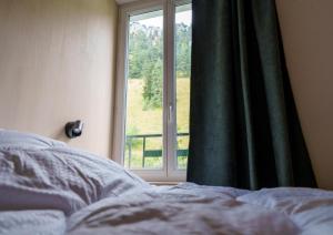 Appartements Gite Roche Pointue - Ski - Domaine : photos des chambres