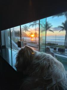 TOP Flat 01 condomínio Sempre sol