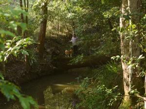 Unyoked Dungog - Hunter Region - Jazz