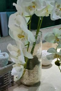 Hermosa y exclusiva casa en La Reserva en Ajijic