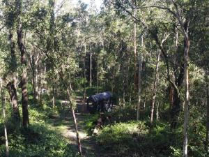 Off-Grid Cabin TuckedNature - Pet Friendly - Mahli