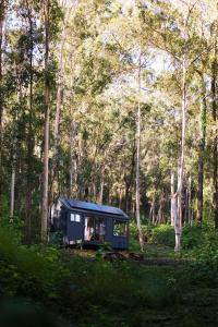 Off-Grid Cabin TuckedNature - Pet Friendly - Mahli