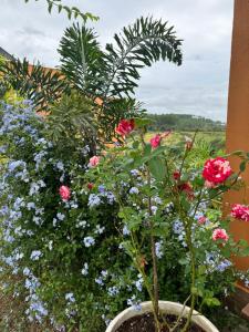 Pousada Guardiã da Canastra