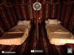 Tulip Camp Siwa Oasis