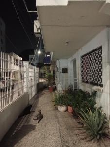 Tranquila y cerca de la magia