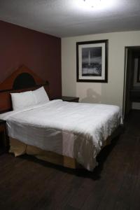 Sands Hotel Formerly OYO Hotel