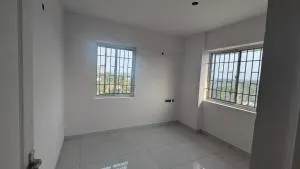 ConfidentMaple - Kodali