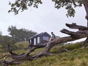 Secluded Off-Grid Cabin - Pet Friendly - Roscoe