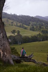 Secluded Off-Grid Cabin - Pet Friendly - Roscoe