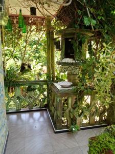 Cool Villa