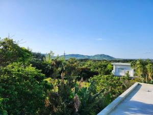 しまあさな Private Yoga Retreat 一日一組限定 ルーフトップヨガつき English Available