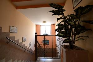 Electra Hotel Piraeus