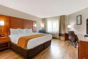 Standard King Room - Non-Smoking  room in Comfort Inn & Suites
