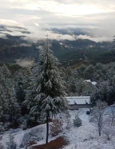 Kumaon deodara cottages