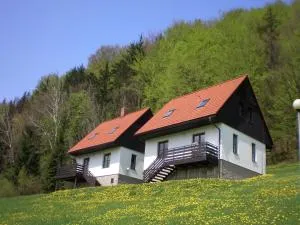 Mansion in Starkov with shared pool - Maršov nad Metují