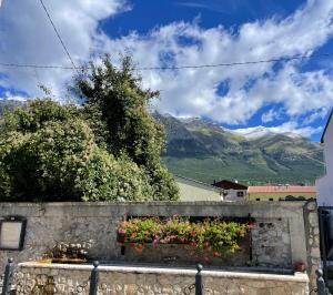LA Stanzetta