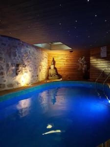 Appartements GITE POM DE PIN avec acces a la balneo et piscine couverte - Libre du samedi au samedi : photos des chambres