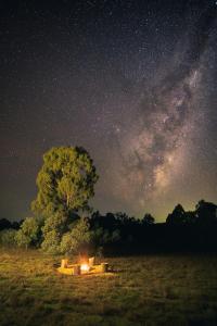 Remote Off-Grid Cabin in the Wilderness - Jude