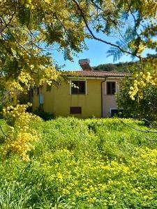 Villa GENNA E LIONI img18