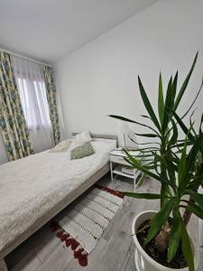 Casa in Altomalcantone