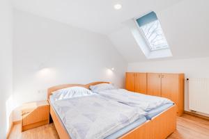 Apartments Skok with rafting and free parking 