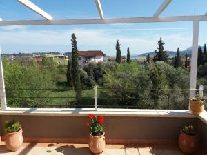 Selini Apartment with Jacuzzi