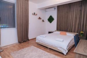 BASSO Guest Rooms