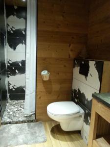 GITE DE MONTAGNE "LE CALOU" AVEC CHEMINEE ET JACUZZI situé à St Laurent-en-Grandvaux