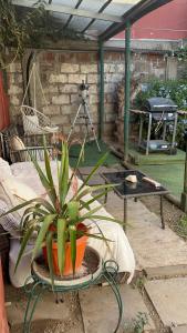 Un trozo de bosque en la ciudad