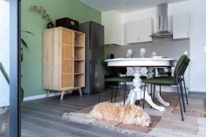 Feel Discovery Casa DAlice