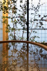 NEW2025! Shirakaba ROKUI 白樺 緑居 Architect-designed Luxury Villa with Concierge Service