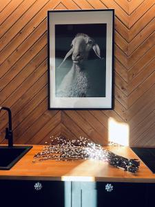 Apartamenty Sleep & Sheep