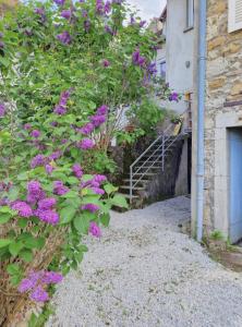 Le lynx boréal, centre historique avec jardin