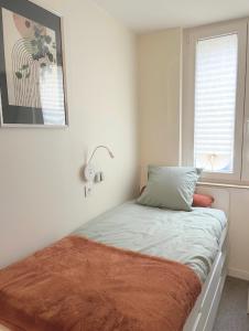 Le lynx boréal, centre historique avec jardin