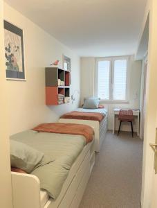 Le lynx boréal, centre historique avec jardin