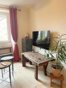 Le lynx boréal, centre historique avec jardin