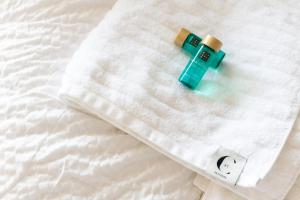 Stunning views over Ostend with garage