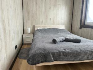 Cozy cabin with hot tub or sauna