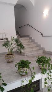 Bed&breakfast Sole&luna