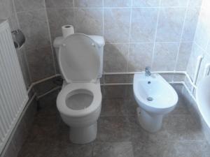 Apartments Igor