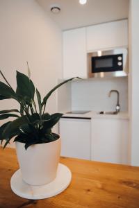 Appartements Appartement cosy proche centre : photos des chambres