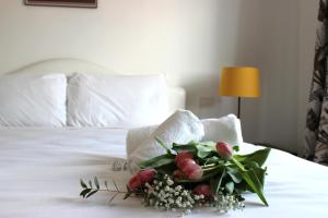 Roma Luxury Apartment