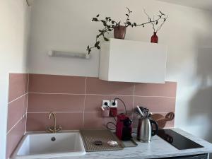 Appartements Grand Studio avec Parking et Wifi : photos des chambres