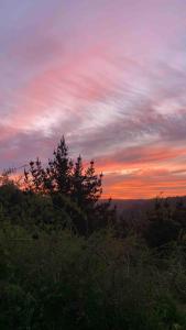 La pajarera, parcela de agrado