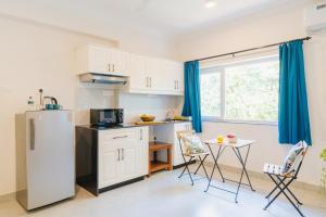 Mona Collective at Serenova