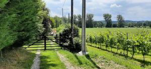 Le Clos Saint Martin