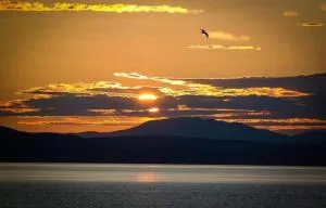 Apartman Rita - Francikovac